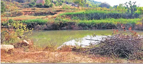 Representational Image (File photo | Express)