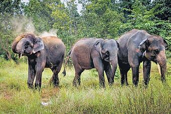 Representational Image