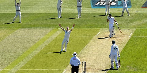 New Zealand's Matt Henry appeals unsuccessfully for a LBW decision during the 1st Test against South Africa in Christchurch. (Photo| AP)