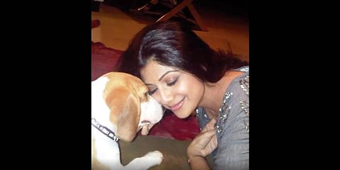 Shilpa Shetty and her pet dog 'Princess'
