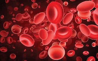 3T campaign against anaemia launched in Odisha