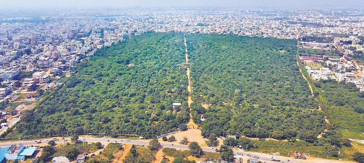Hyderabad's urban forest management earned it the Tree City recognition among global cities