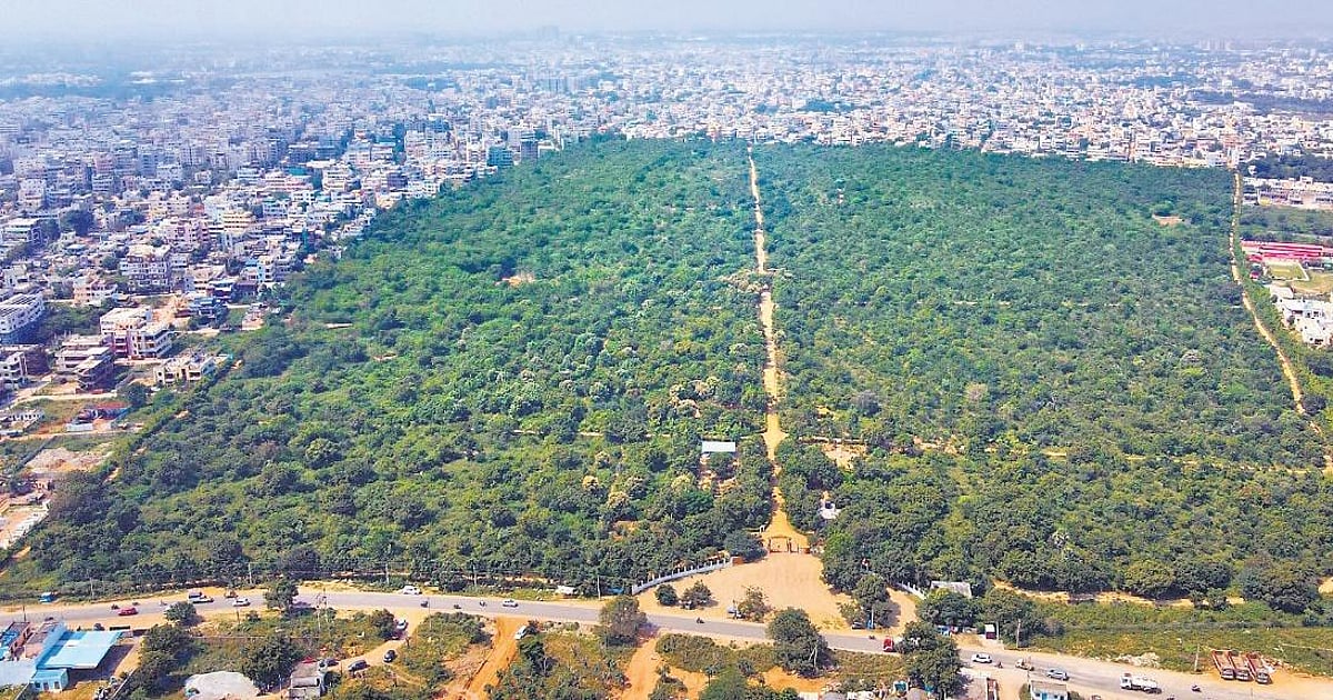Hyderabad's urban forest management earned it the Tree City recognition among global cities