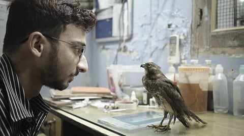 Snippet from 'All That Breathes' (Photo | Sundance Institute)