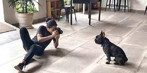Pet photographer Ayesha Framji at work