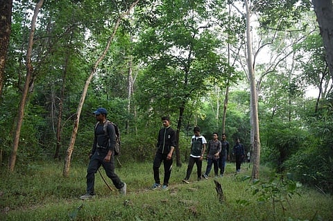 Carcasses of two adult elephants recovered