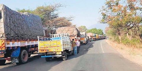 Lorries waiting near the Karapallam check post in Erode district. (Photo| EPS)