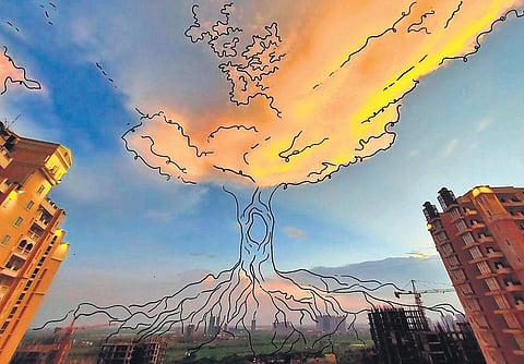 Images by Anvi Dalmia