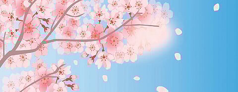 Image used for representational purpose only (File Photo)