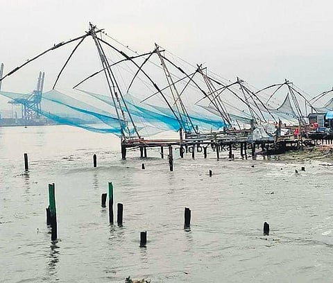 The Chinese nets at Fort Kochi. (Photo | EPS)