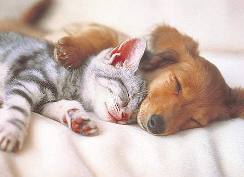 Image used for representational purpose only