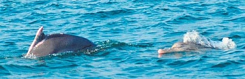 Image used for representational purpose only.