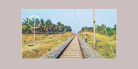 Solar lights installed to keep jumbos at bay