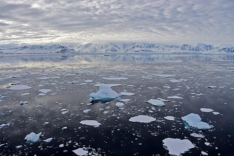 This file photo taken on November 27, 2019 shows a view of the glacier at Chiriguano Bay in South Shetland Islands, Antarctica. (Representational Image | AFP)