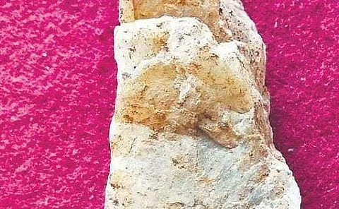 Remains of Megalithic period found at Ugrapuram near Areekode in Malappuram | By Special Arrangement