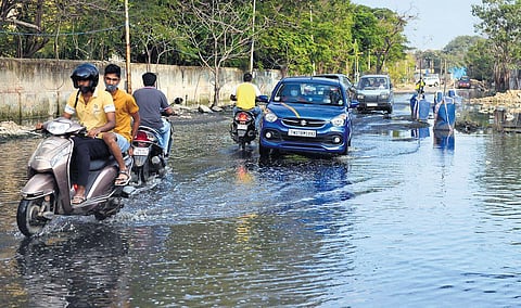 Stagnant sewage water at Stephenson Road in Jamalia. (Photo| Debadatta Mallick, EPS)