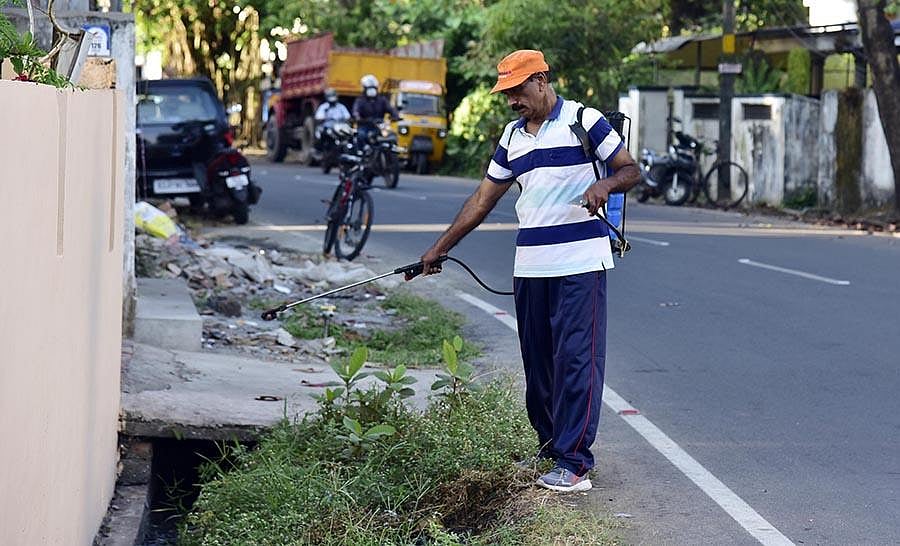 Government allows household insecticides to be sold without printed leaflets, mandates QR codes