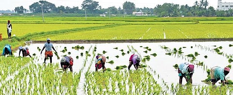 Image used for representational purpose only. (File photo)