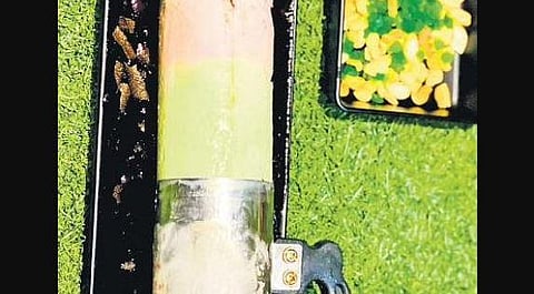 All hail the puttu ice-cream