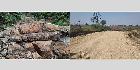 The fossil tree that was discovered in a dried-up stream in Perambalur (Left), Perambalur mud road allegedly laid over the stream where the tree was discovered (Right).
