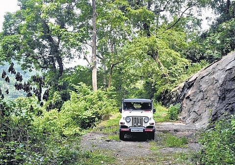 Photo for representational purpose only. (File Photo EPS)