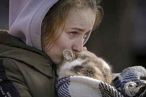 A woman who was evacuated from Irpin cries kissing a cat wrapped in a blanket at a triage point in Kyiv, Ukraine, Friday, March 11, 2022. (Photo | AP)