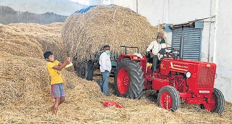 Image for representational purpose only. ( File Photo)