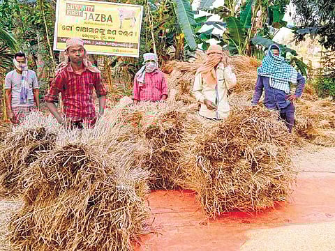 Farmers with their stock of straw provided by the trust members | Express