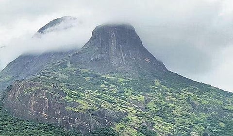 The site proposed for the INO project  in Theni district | Express