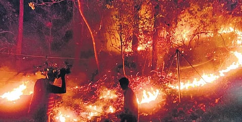 Fire fighting at Silent Valley buffer zone under the leadership of the national park wildlife warden