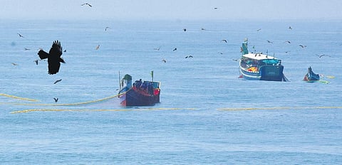 Image used for representational purpose only. (Photo | B P Deepu)