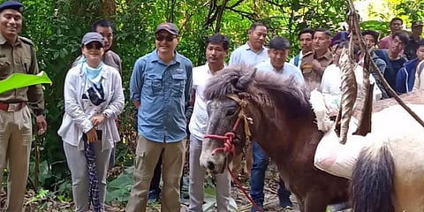 Arunachal Pradesh's Siang district experiments shipping with mules
