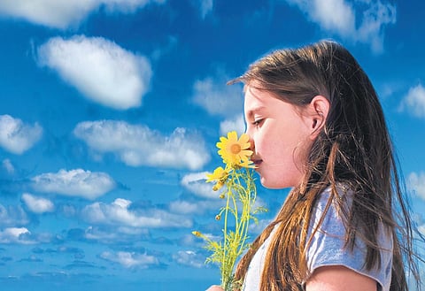 Image use dfor representational purpose only. ( File Photo)