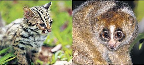 Image used for representational purpose only. ( File Photo)