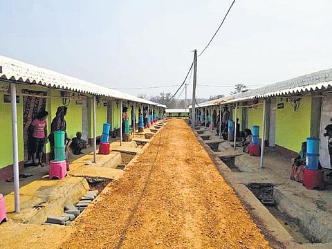 The temporary rehabilitation colony at Khola panchayat in Ambabhona. ( Photo | EPS)
