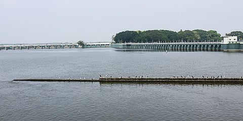 Image used for representational purposes only (File photo| EPS)