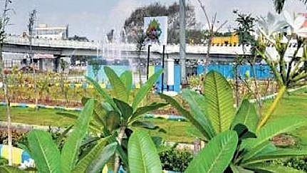 Plants grown near Koyambedu Road 