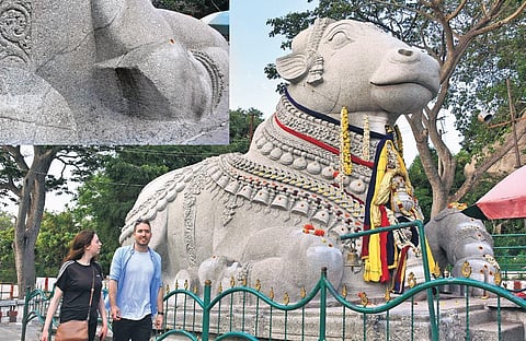 A crack is visible on the famous Nandi statue atop Chamundi Hills in Mysuru. ( Photo | EPS)