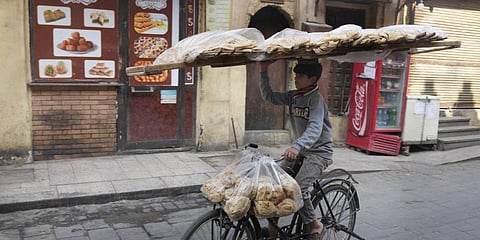A vendor balances a tray of Egyptian traditional 'Baladi' flatbread as he cycles in Old Cairo district, Egypt, Tuesday, March 22, 2022.(Photo | AP)