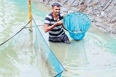 P M Dinil Prasad who won the ‘Thozhil Shreshta’ award instituted by the state labour department