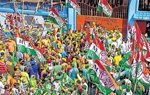 TMC decimates oppn in civic elections