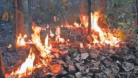Forest officials said two - one in Ghona beat of Raigarh range in Nabarangpur division and the other at Harachandi beat of Brahmagiri range in Puri wildlife division - were large fire points.