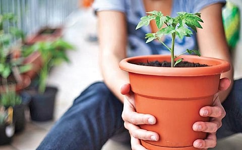 Image used for representational purpose only.