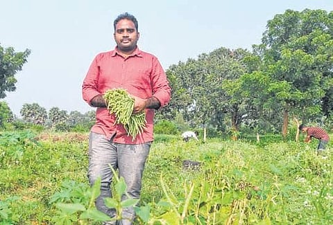 L Shankar quit his software job and took up natural farming in 30 acres at Bhogapuram. He employs to 20 people daily (Photo | Express)