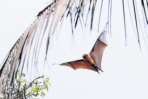 Representational image.