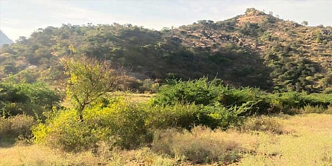 180 hectares of poramboke land in Thenkarai now reserve land for forest department