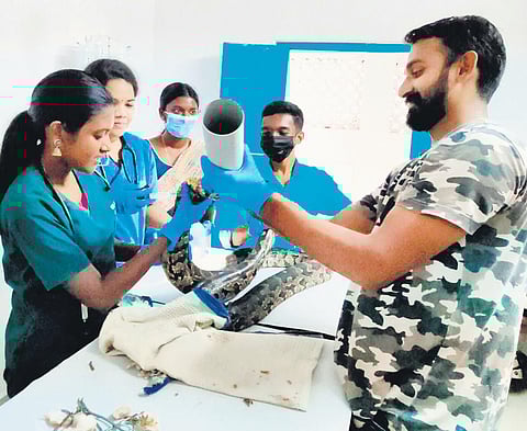 The medical team treating the python that was trapped in a plastic net at the veterinary hospital at Haripad in Alappuzha | Express