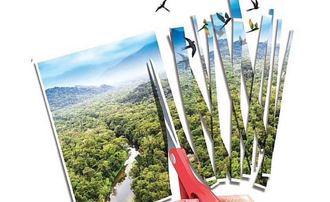 Neyyar, Peppara ESZ notification triggers protests