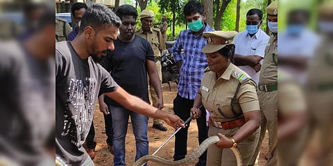 R Satish Kumar (second from left) and his team member training a forest official in catching snakes. (Photo| EPS)