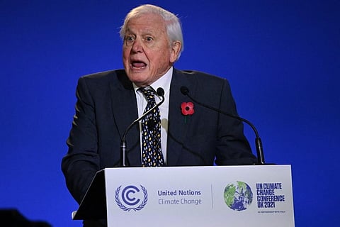 David Attenborough presents new series 'The Green Planet'